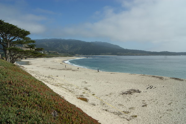 Carmel beach