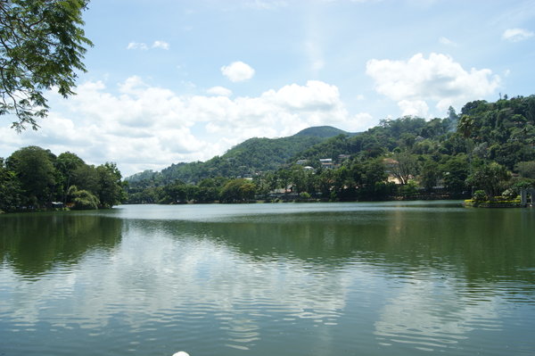 Kandy's Lake