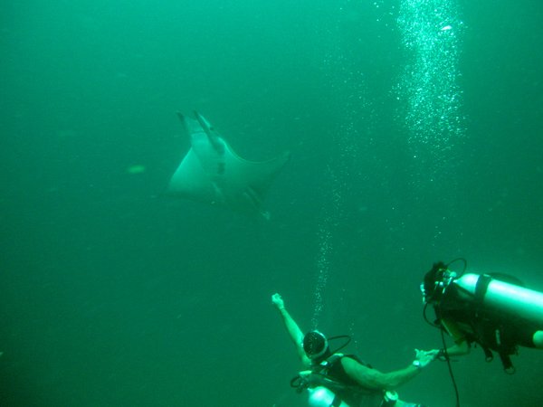 Antoine, Leslie...and the devil's ray...