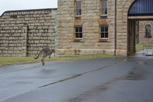 Local gaol...have a close look...ready for a good laugh!!
