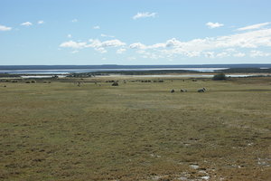 Salt lake in the middle of Peninsula Valdes