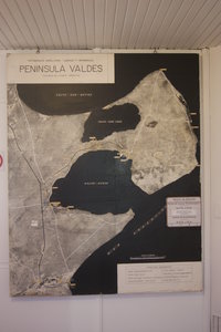 Peninsula Valdes