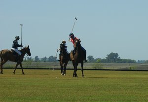 our first polo match...easy...