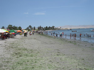 Paracas beach...no thanks!