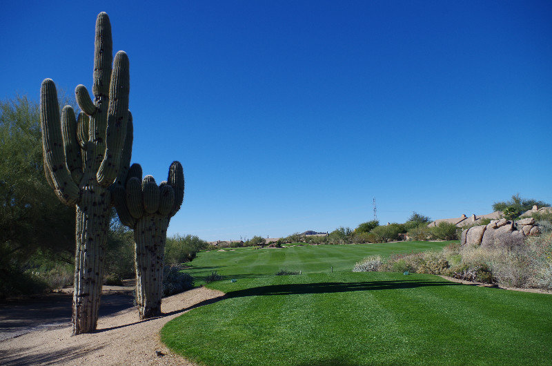 Arizona desert golf!