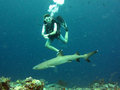 Leslie, and one of the white tip sharks...diving Sipadan...