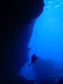 Diving Tonga...