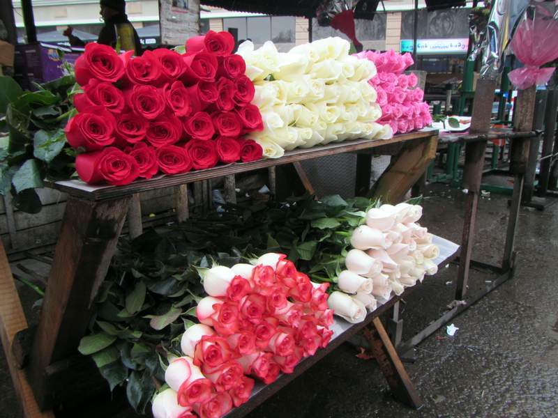 Love roses....even in the middle of winter...