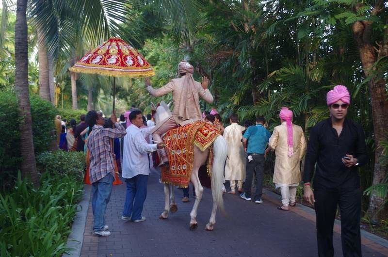 Indian wedding...