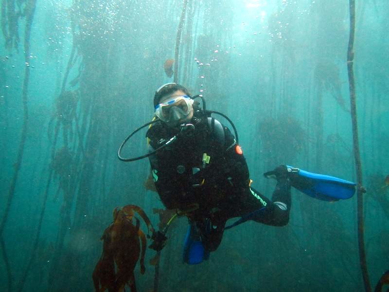 Leslie, kelp dive...water...13 degrees....