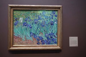 Van Gogh at Getty