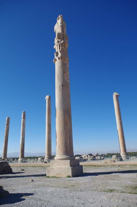 Amazing Columns
