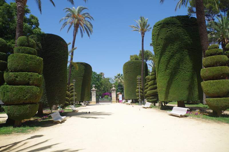 Botanical Garden, Cadiz...