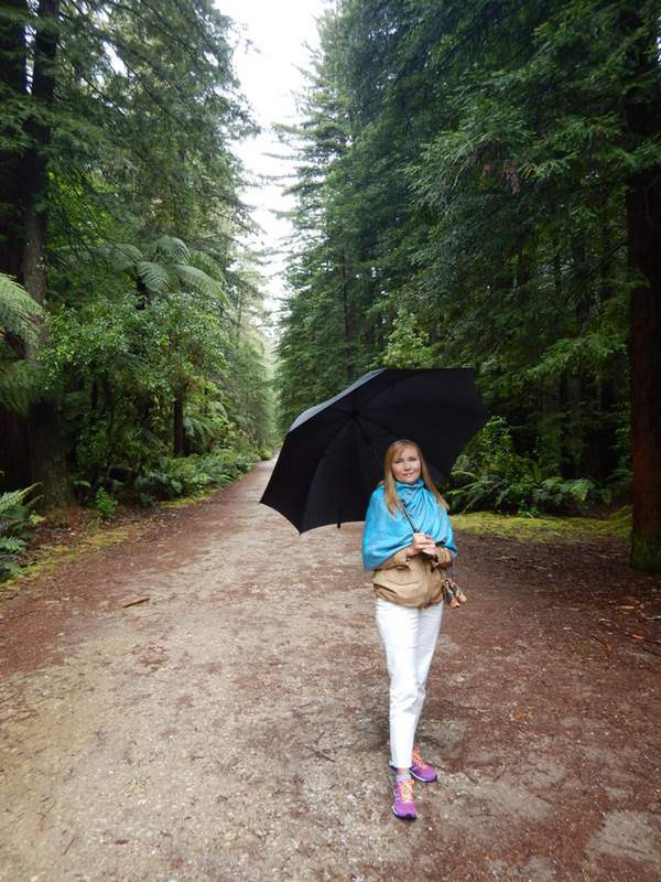 Redwood....with some rain too...