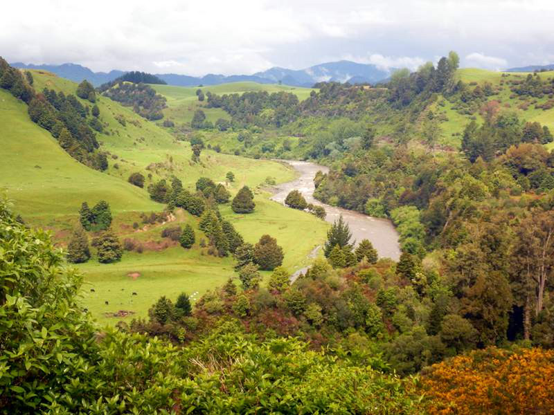Green New Zealand!