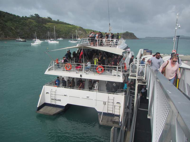 Busy days on the boat from Auckland to Waiheke