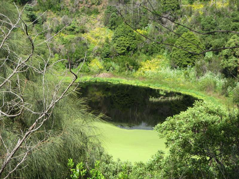 Crater at Tower Hill National Park