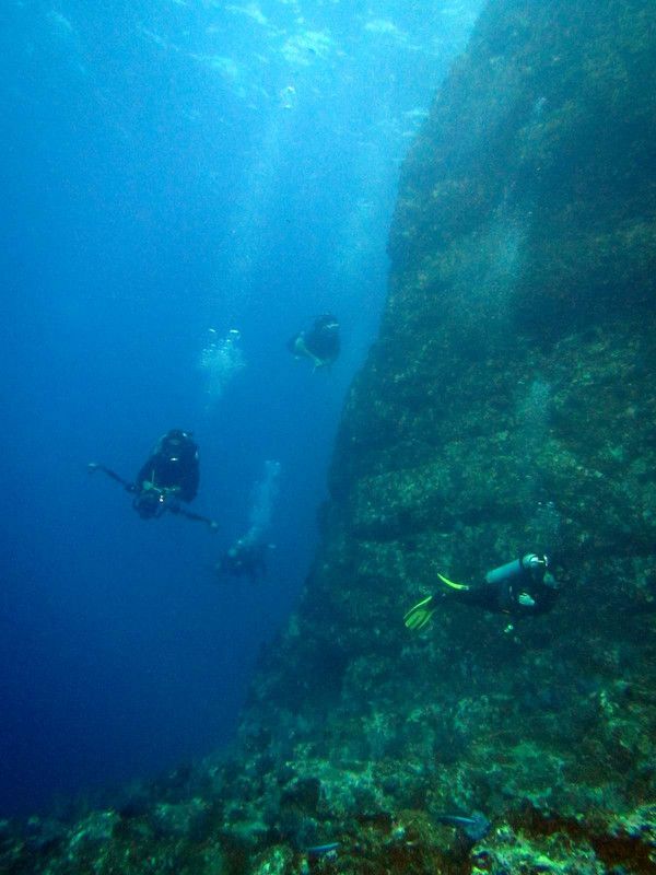 Dive 5 days....two of them with amazing visibility!