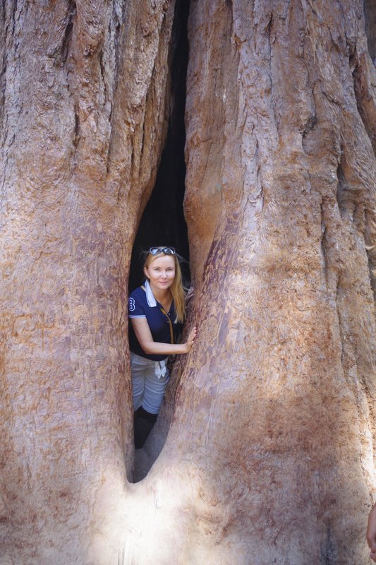 Tanya in the big tree....she had to queue....after the numerous excited kids...