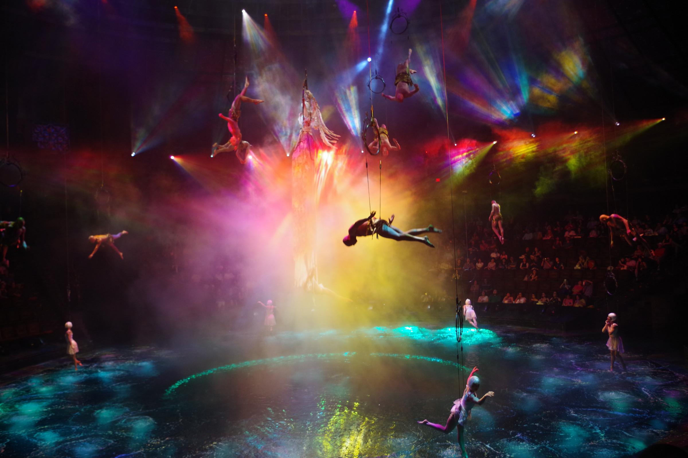Le Reve, for me by far the best show in Las Vegas...and I've seen