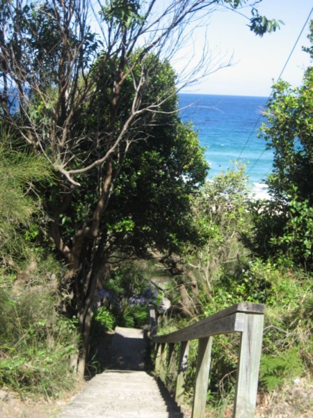 Stairs on the Way to Mollymook Beach