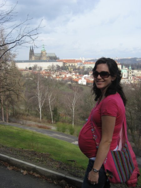 Petrin Hill with Prague Castle in the Background