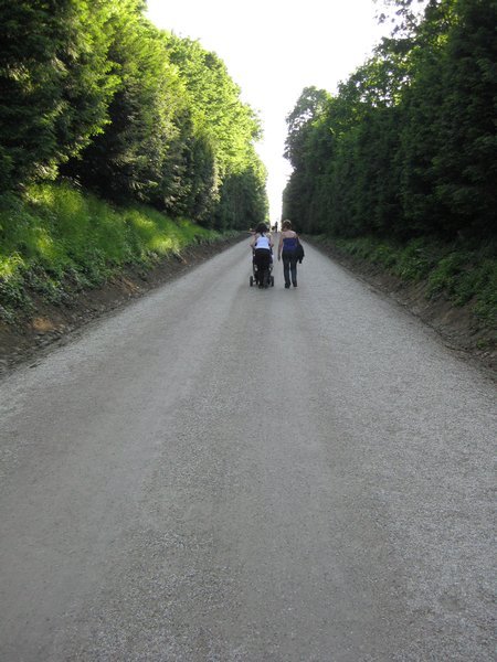 Up the Hill to the Gloriette