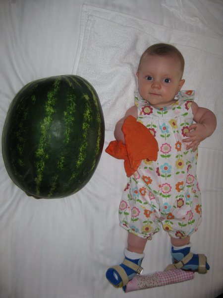 5kg Dahlia and 8kg Watermelon