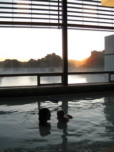 The Indoor Section of the Blue Lagoon