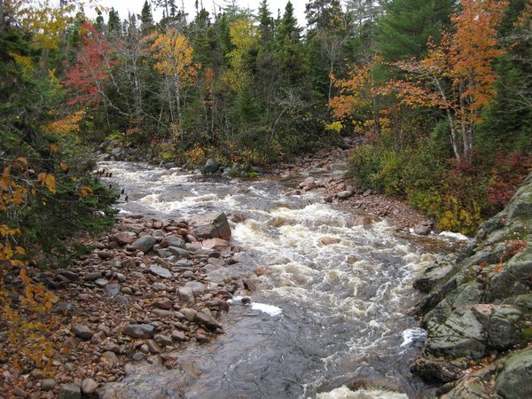 Creek in Cape Breton