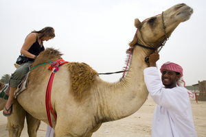 Camel Jockey