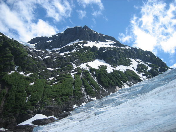 Bear Glacier (1)