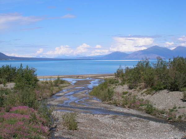 Alaska Highway (6)