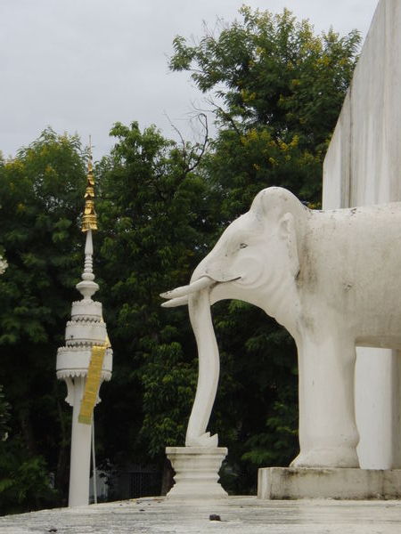 Elephant support at Wat Phra Singh