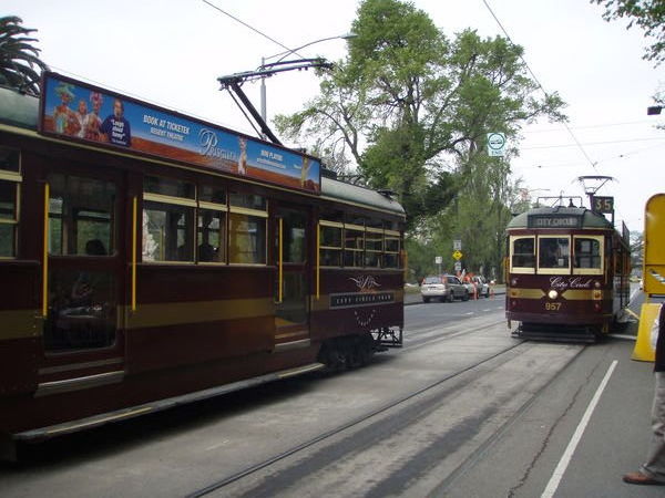 Old trams in Melbourne