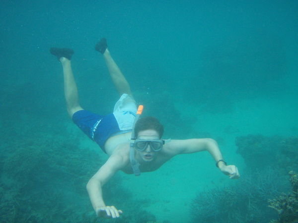 Luke tries free diving!!!