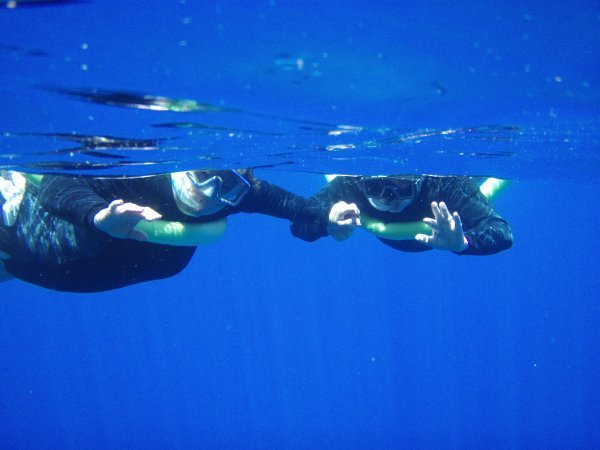 Mum and dad snorkelling
