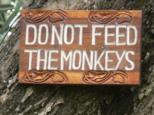 Do Not Feed the Monkeys!