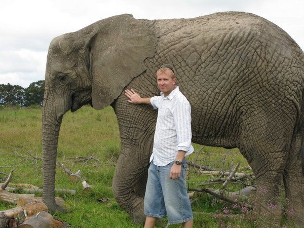 Man vs. Elephant