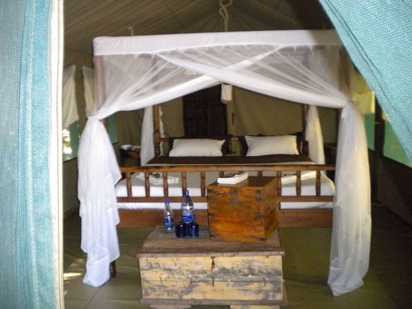 Tent in Mahale
