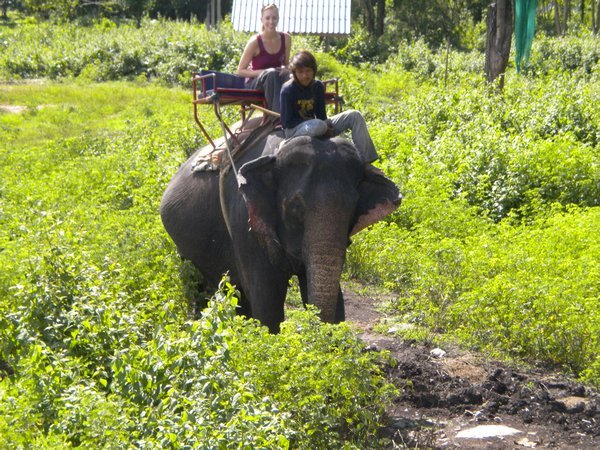 Elephant Riding!
