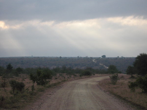 Kruger National Park at dusk