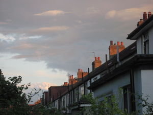 Typical London houses