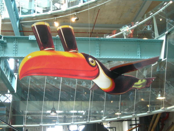 The flying Guiness Toucan