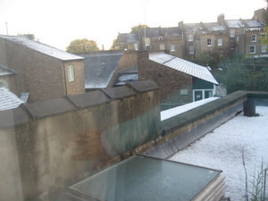 The view of the snow on the rooftops from our back bedroom window the next morning