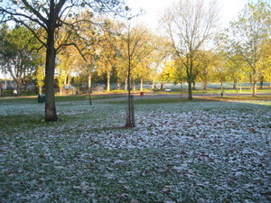 Morning snow in Finsbury Park on Kate's walk to work
