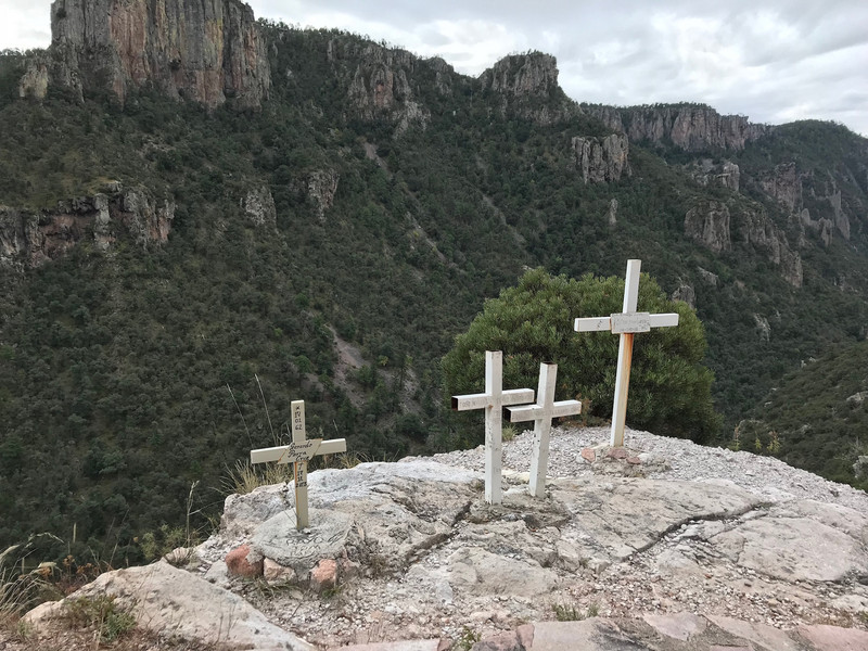 Memorial crosses 
