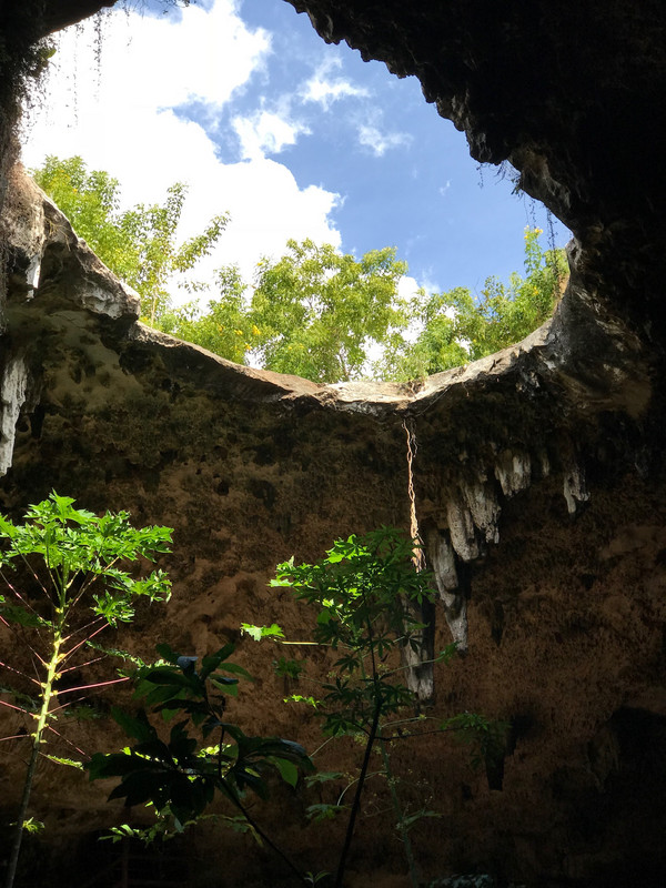 Cenote San Antonio