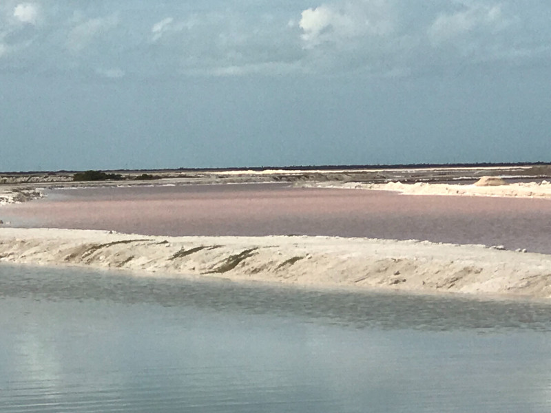 Pink lake at Los Coloradas 