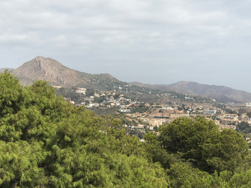 Views from Castilla Gibralfaro